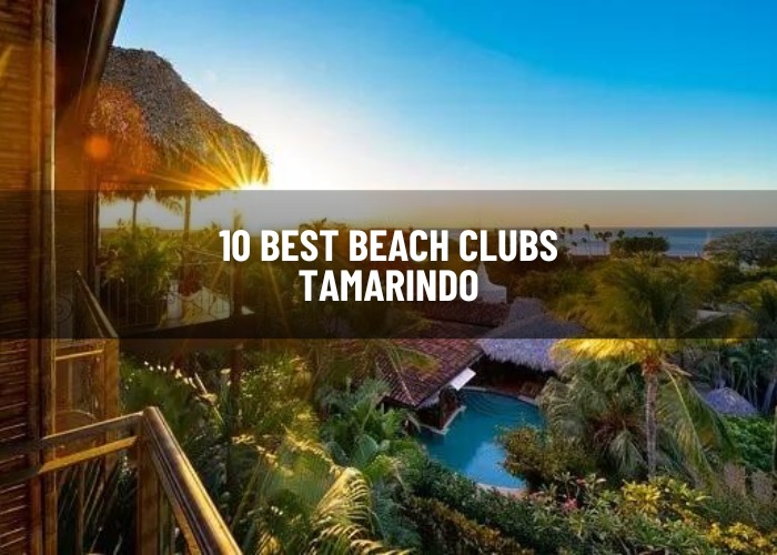 beach clubs Tamarindo