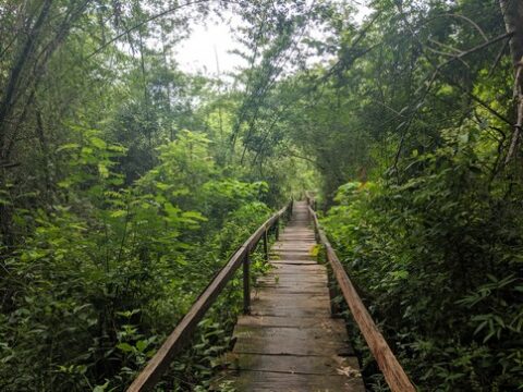 Cat Tien National Park Vietnam (1)