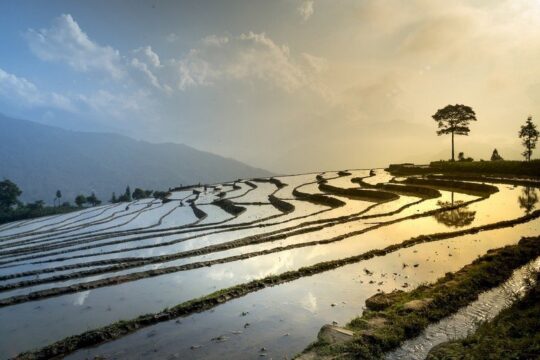 best time to go to vietnam - rice field, sa pa, sapa