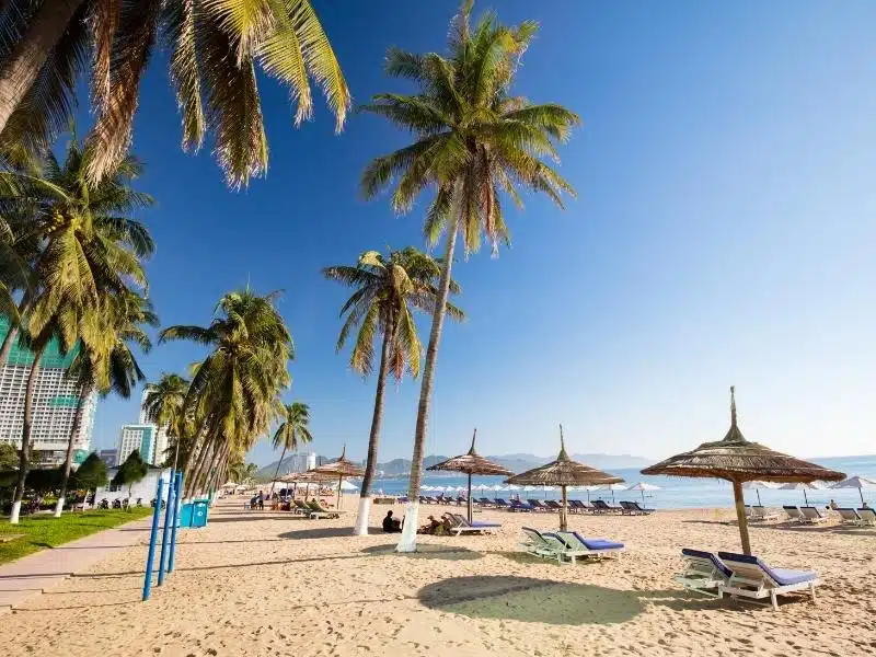 Looking down the main beach at Nha Trang, with palm trees and beach umbrellas