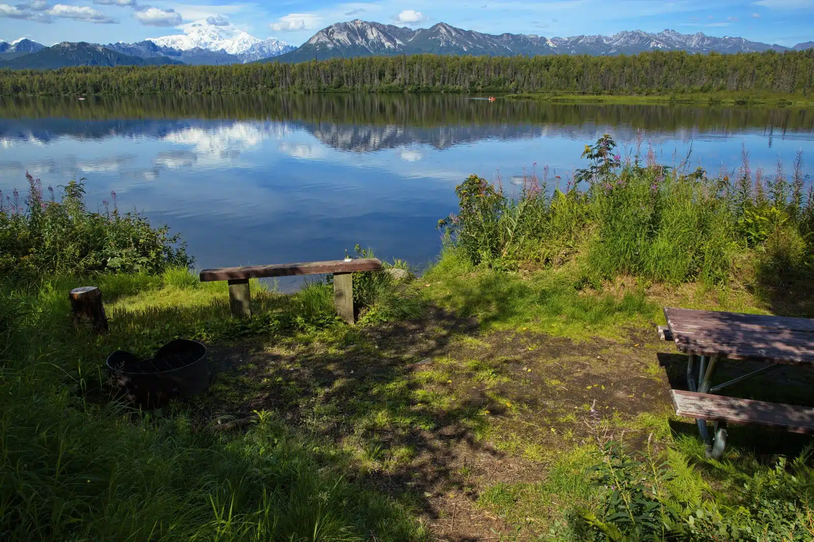 Denali National Park