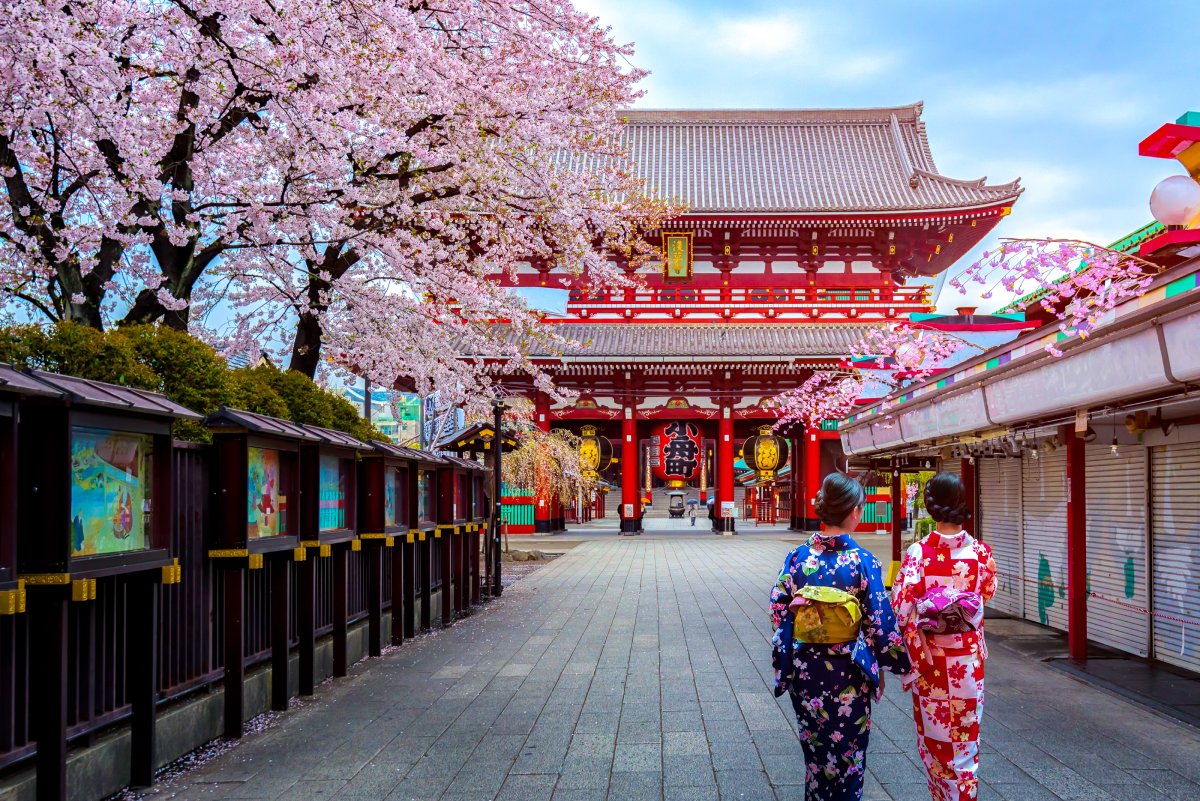 A 12-Step City Guide to Tokyo 2024 – An Adventure Through Japan’s Capital