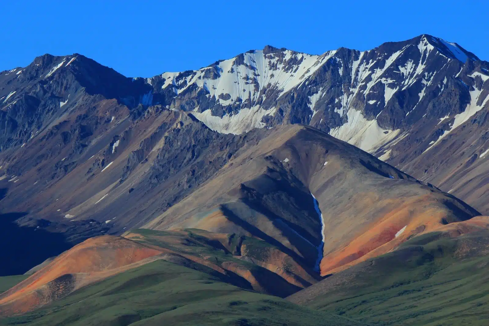 POLYCHROME PASS