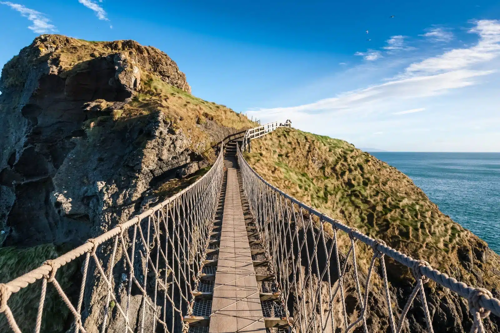 carrick, rede, bridge, rope, ireland, coast, antrim, northern, nature, water, field, background, grass, sea, green, ocean, rock, island, tourist, outdoor, county, landmark, scenery, carrick-a-rede, scenic