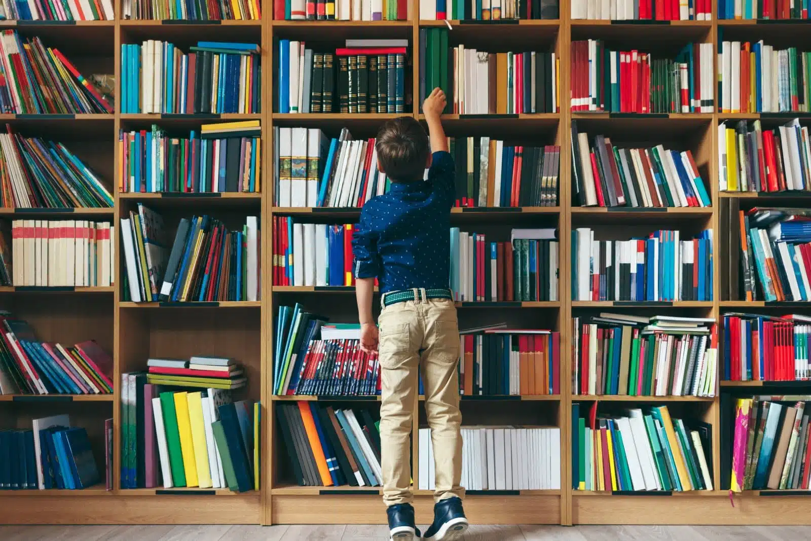 academic, background, book, boy, business, caucasian, child, childhood, classroom, clever, concept, cute, education, glasses, happy, head, human, indoor, intelligence, intelligent, kid, knowledge, learn, literature, little, male, nerd, one, people, person, portrait, primary, pupil, read, school, schoolboy, shirt, sit, small, smart, smile, stack, student, study, studying, textbook, white, young, youth