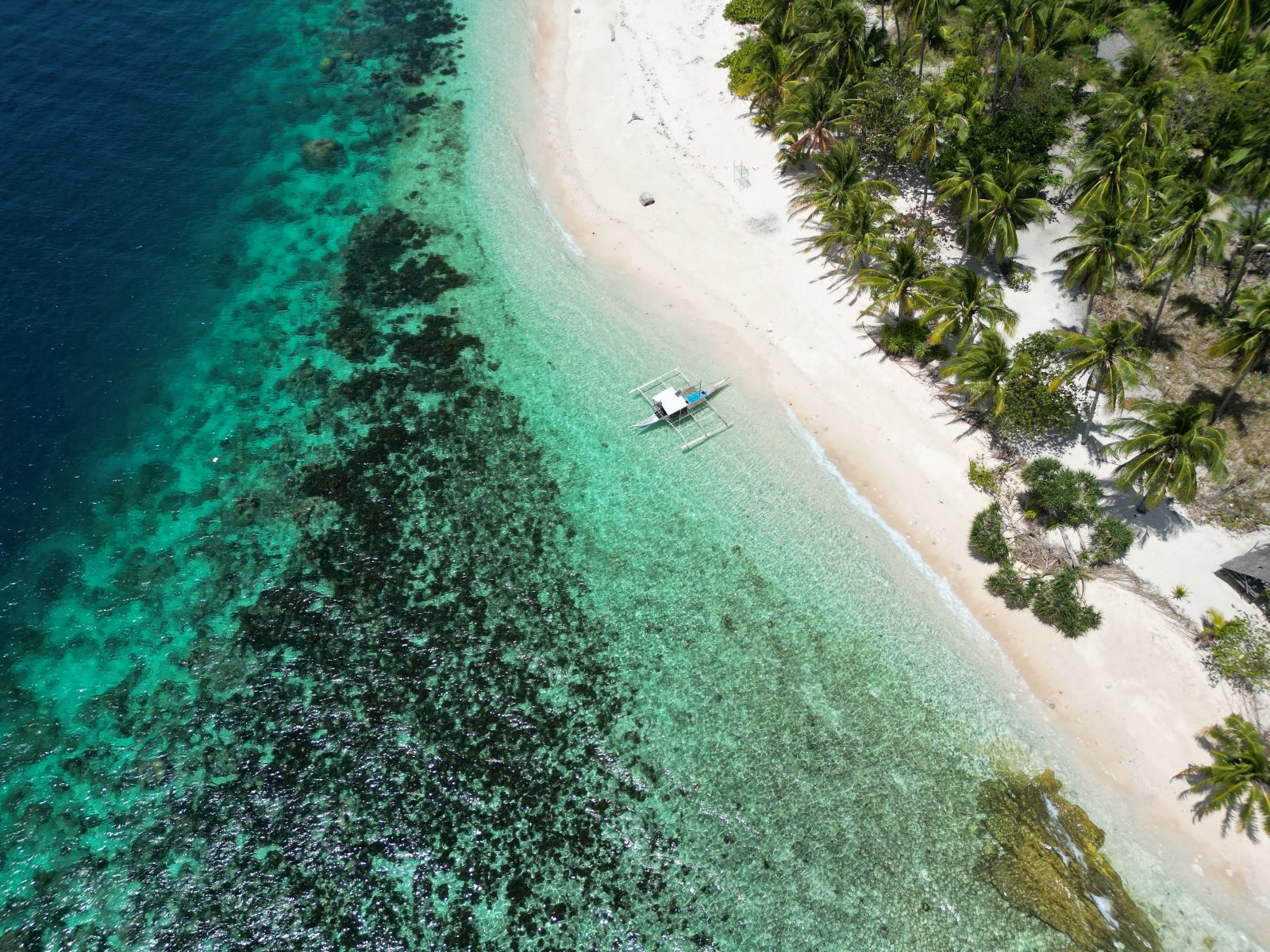 Ultimate Guide to Island Hopping in the Philippines – Discovering Paradise 2024