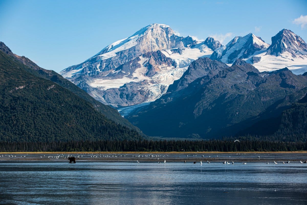 18 Tallest Mountains in the US – A Tourist’s Guide to Majestic Peaks