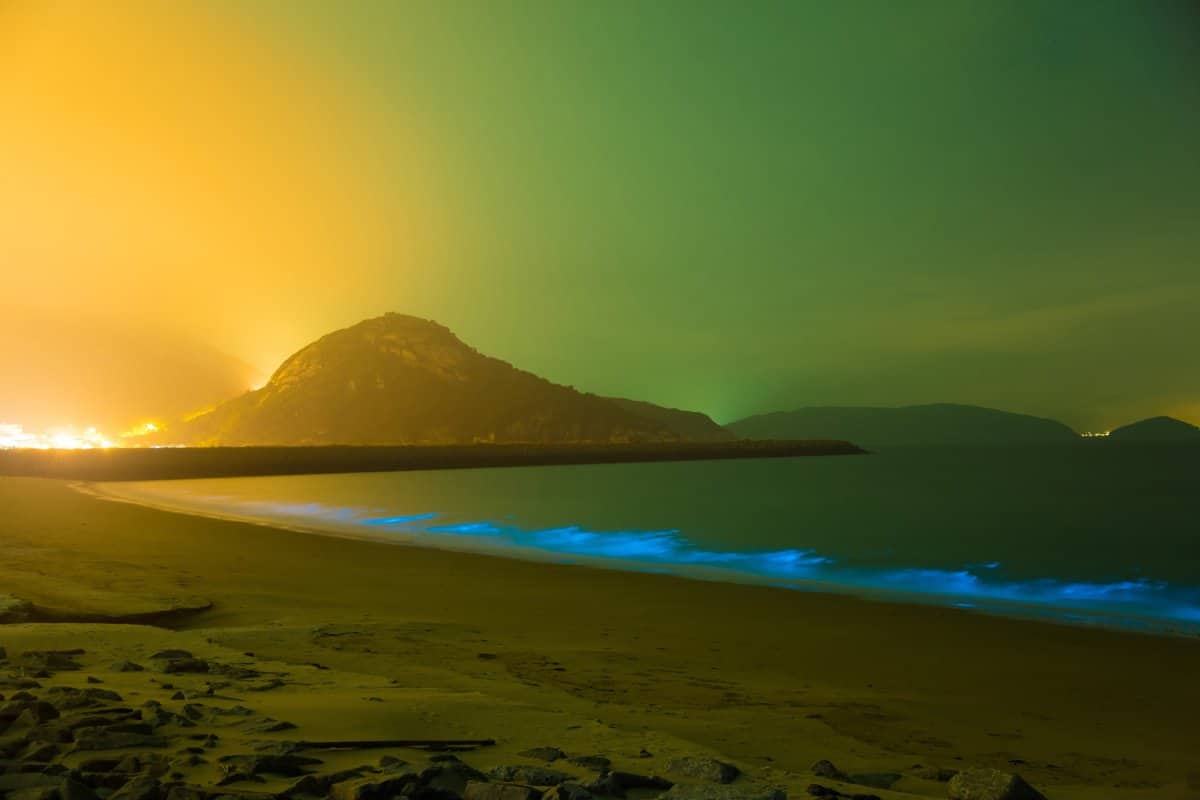 20 Glowing Waters: Where to Witness the Magic of Bioluminescence