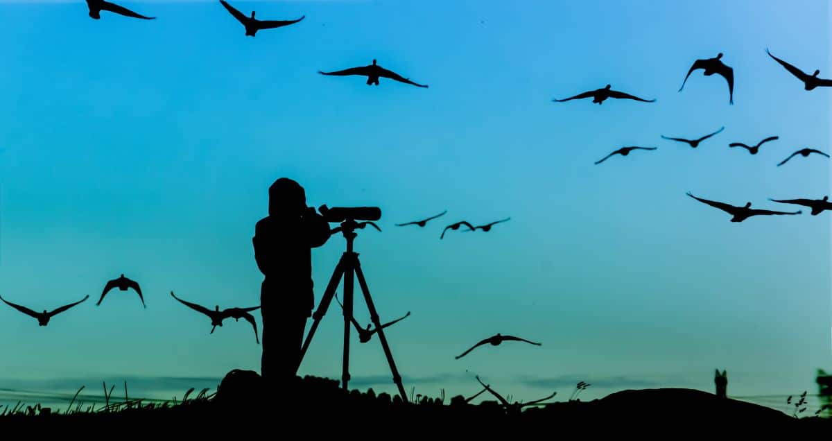 Best Birding Destinations in the World for Responsible Travelers